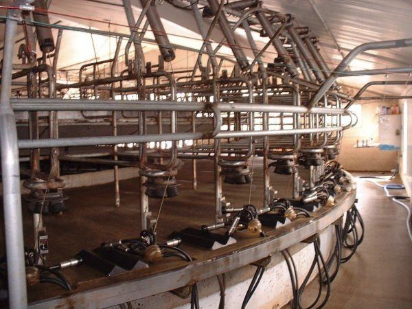 Rotary milking platform bails inside a shed